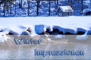 Winterimpressionen