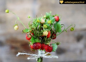 frische Walderdbeeren