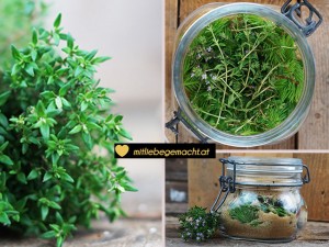 Hustensirup mit Wipferl, Thymian und Spitzwegerich