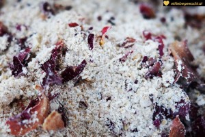 Hafer, Salz, Milchpulver und Blüten ergeben ein Bad für die Sinne