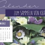 Kräutersammelkalender für März