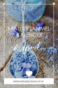 Kräutersammelkalender für den April