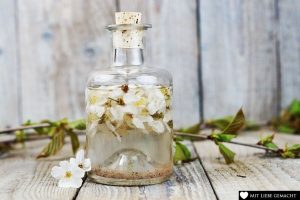 Kirschblüten mit destilliertem Wasser auffüllen