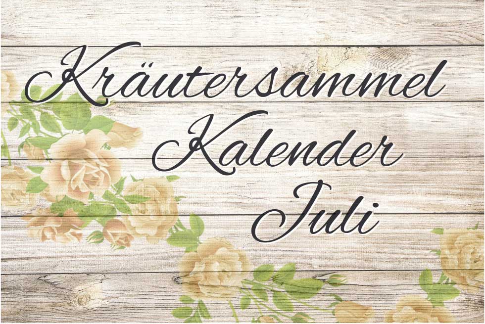 Kräutersammelkalender Juli_header