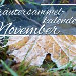Kräutersammelkalender November