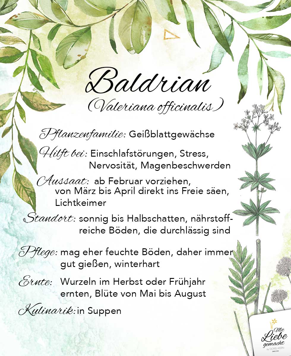 Baldrian