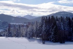 Jänner im weißen Gewand