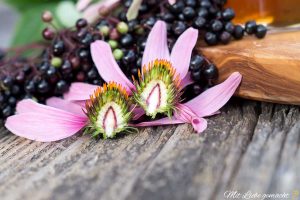 stachelige Blütenköpfe