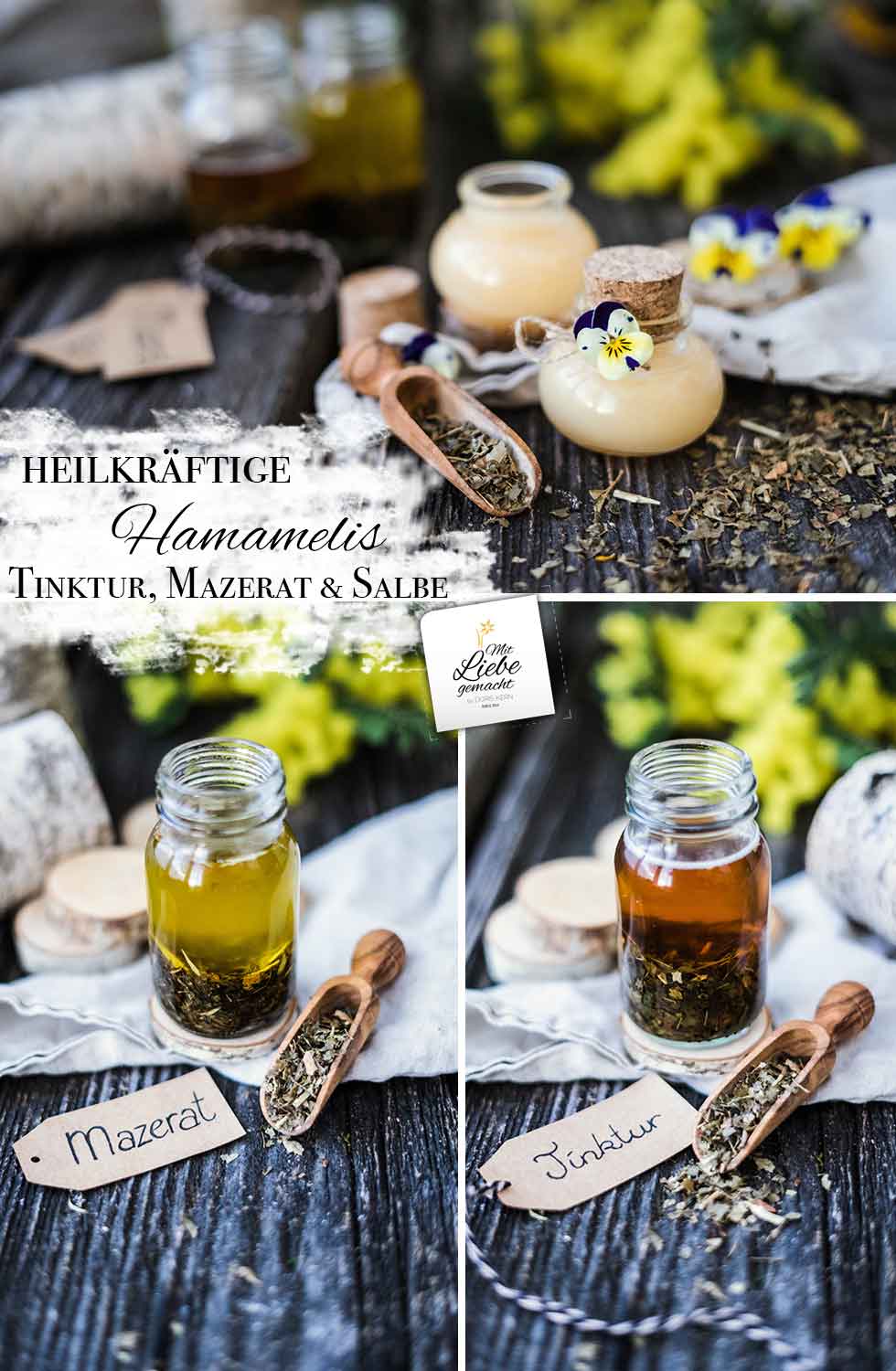 Heilkräftige Hamamelis – so entsteht eine Tinktur, Mazerat und Salbe