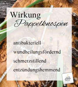 Wirkung Pappelknospen