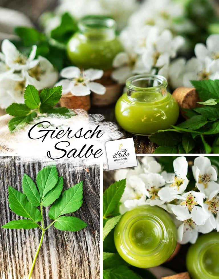 Gierschsalbe altes Hausmittel bei Rheuma, Gicht