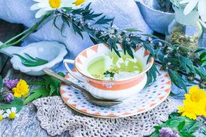 Herzgespann Tee und Tinktur fürs Herz; Tasse mit Tee und Kräuter