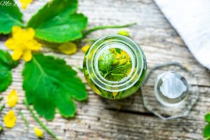 Warzentinktur Hausmittel