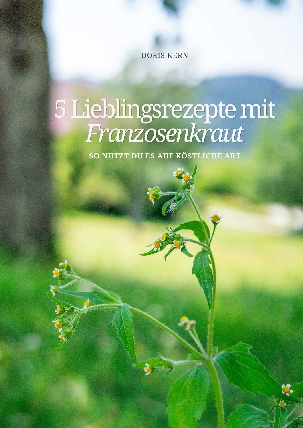 5 Lieblingsrezepte mit dem Franzosenkraut